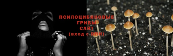 прущая мука Белоозёрский