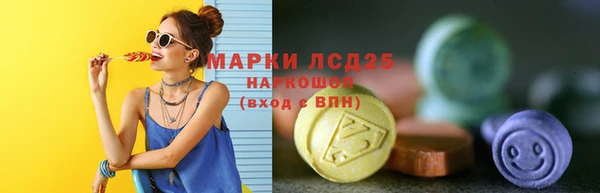 стаф Сясьстрой