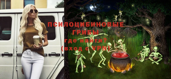 ГАЛЛЮЦИНОГЕННЫЕ ГРИБЫ Тавда