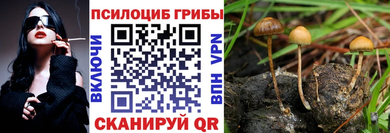 Псилоцибиновые грибы GOLDEN TEACHER  наркотики  Дигора 